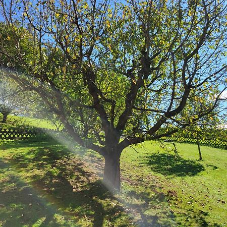 Ferienhaus Zangl Am Seggauberg - Suedsteiermark Leibnitz Luaran gambar