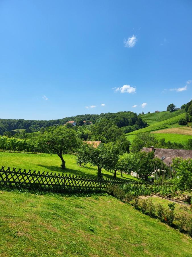 Ferienhaus Zangl Am Seggauberg - Suedsteiermark Leibnitz Luaran gambar