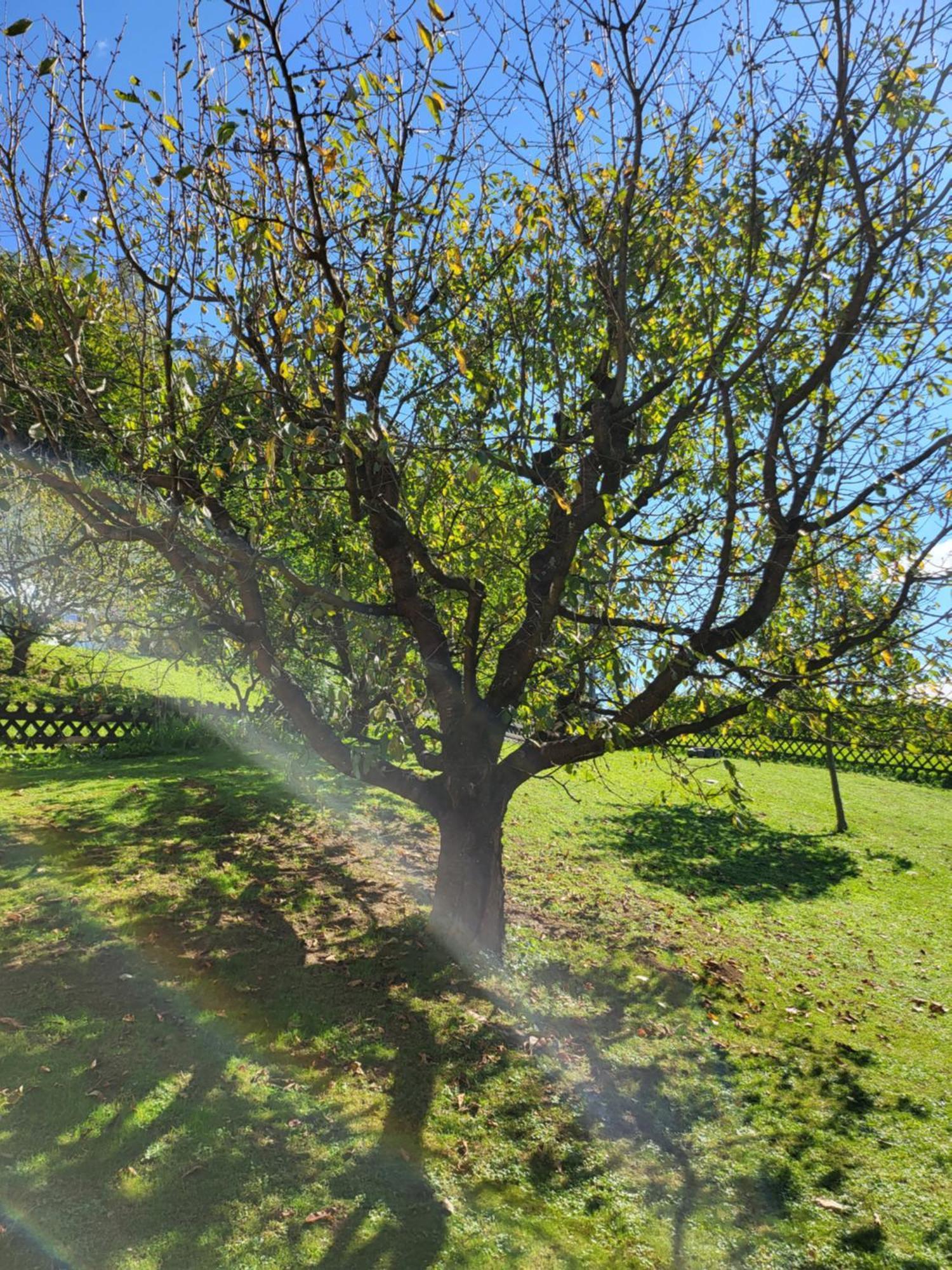 Ferienhaus Zangl Am Seggauberg - Suedsteiermark Leibnitz Luaran gambar