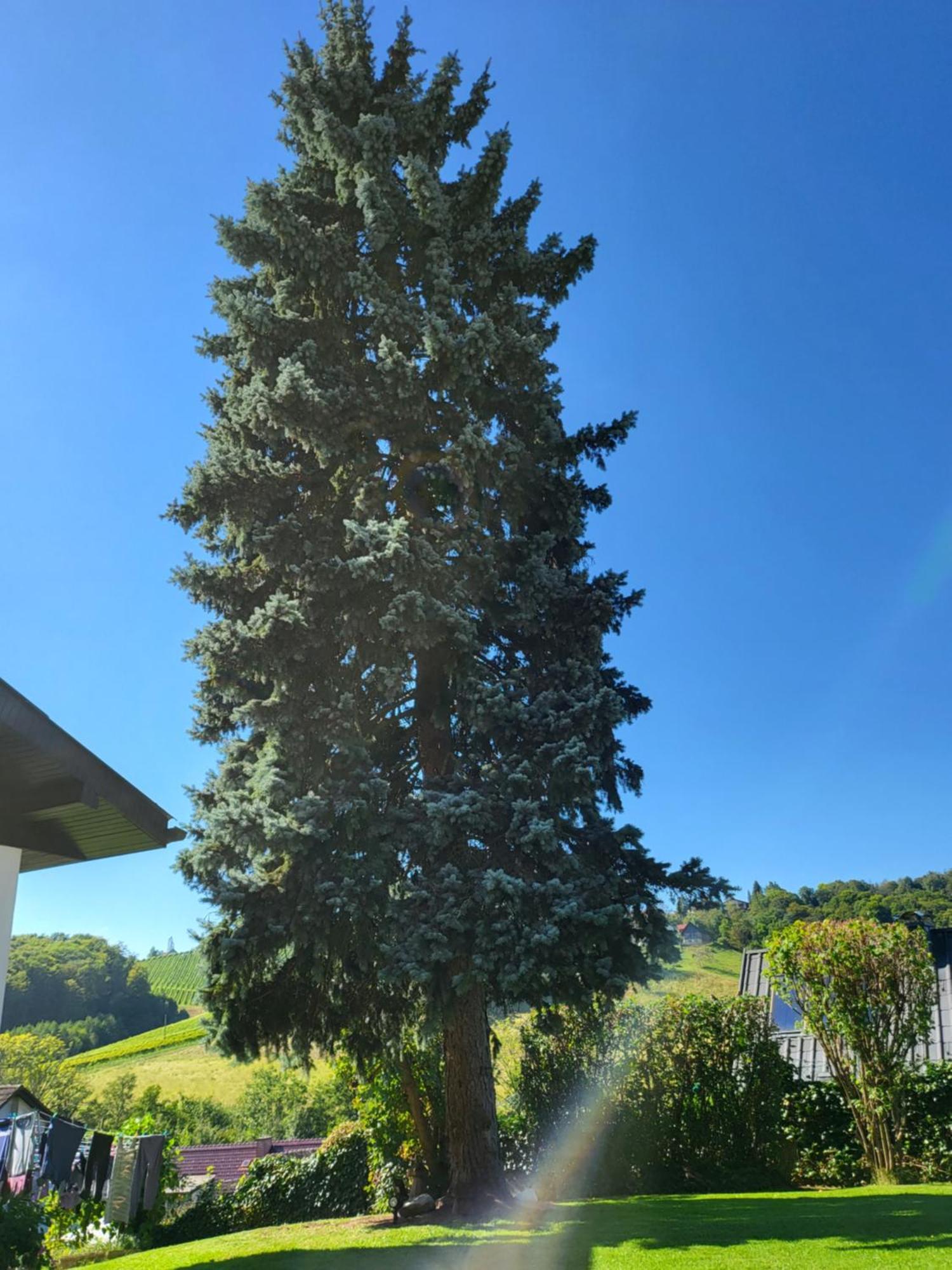Ferienhaus Zangl Am Seggauberg - Suedsteiermark Leibnitz Luaran gambar